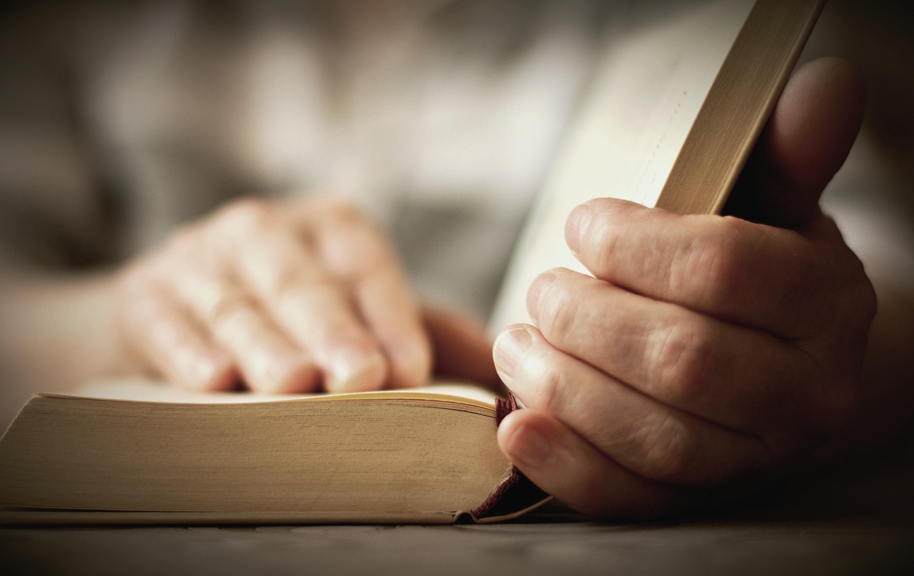 a book, read, hands, bible, knowledge, training, study, pages, paper, literature, to learn, reading, pitched, bible, bible, bible, bible, bible, study, reading